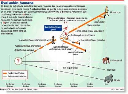 Ver fotografa ampliada